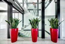 Photo of Вдохновение от последних трендов