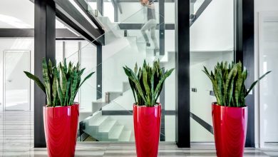 Photo of Вдохновение от последних трендов