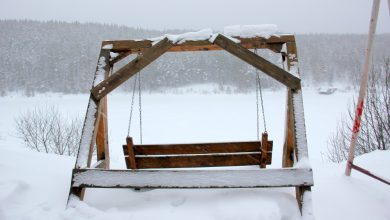 Photo of Магия первой поездки: как тишина зимнего утра сменяется звуком двигателя